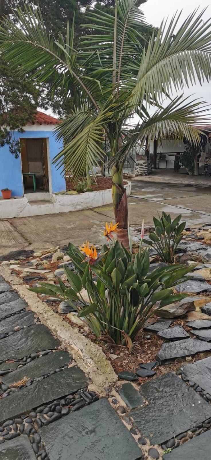 Casa La Caldera Villa Firgas Rum bild